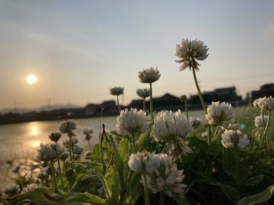 夕暮れの下で